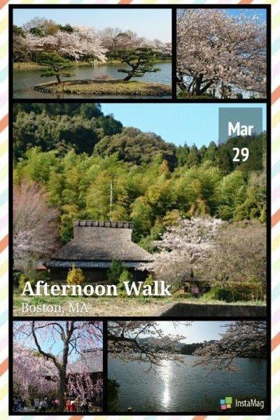 2018.03.28korajyusaganoarasiyama.jpg