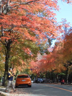 2018.11.18.12.07kitasenrisansikikaidou.jpg