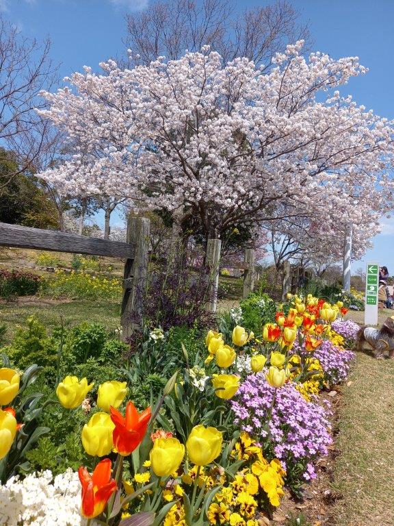 �l�����߂Ƃ͂���������������W�H���A����ڂ�����˂���I