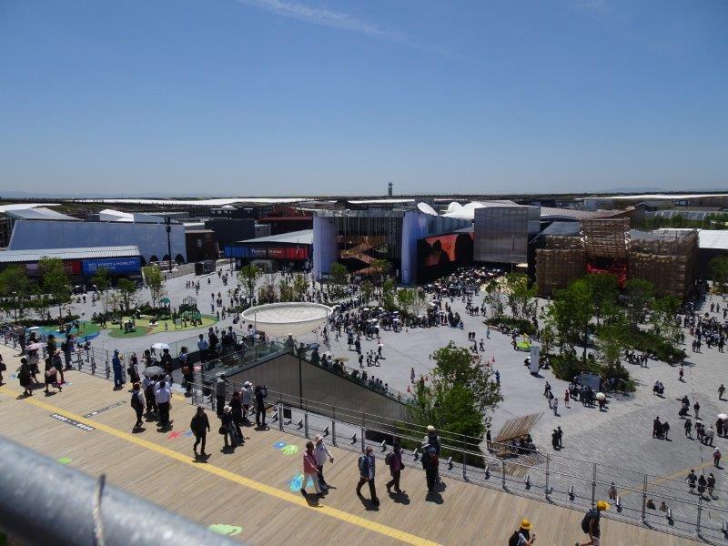 �剮�������O�̓����ɂ�A�O���̃p�r���I�����炯�ł��܂����킟�I����S����T������A����ł͂Ȃ��H