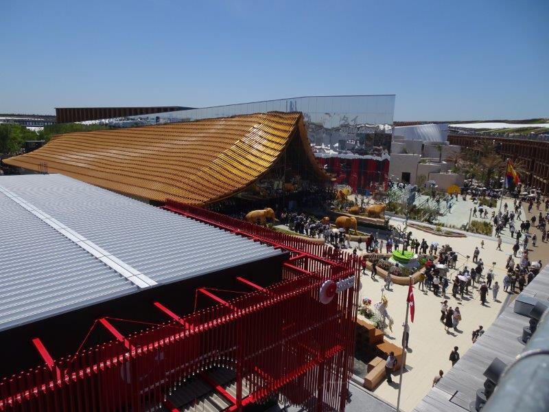 �����́A�^�C�����h�ł��܂��킟�E�L��ɏۂ����傤����₟�I�Ȃ��ؐ��ł������I