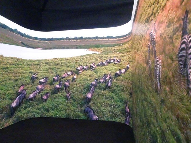 �L�������ɐ��ޓ����̃k�E�̌Q��I�L�����������H