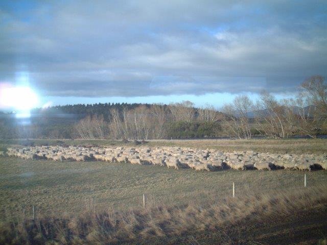 �����ł��A�r�̗U���ɂ�A�������ꂽ���̊��􂪂��܂������I����΂炵���J�E�{�[�C�ł��܂����I